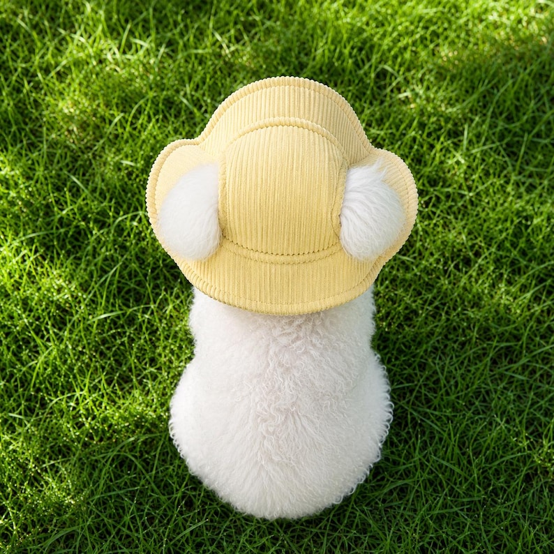 Broderad fiskarmössa för husdjur, personlig hundmössa, manchesterhatt med kattnamn, sommarhink för hund, solhatt för tax, gåvor för husdjur bild 9