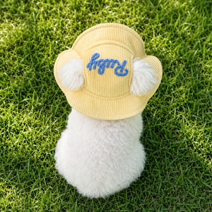 Broderad fiskarmössa för husdjur, personlig hundmössa, manchesterhatt med kattnamn, sommarhink för hund, solhatt för tax, gåvor för husdjur bild 8