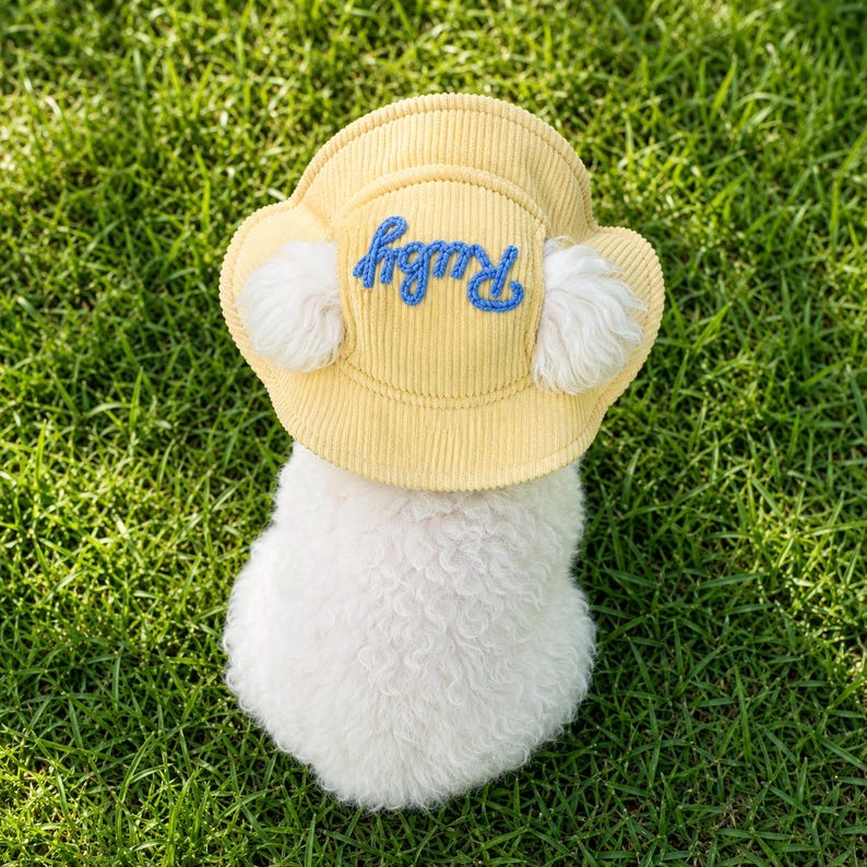 Broderad fiskarmössa för husdjur, personlig hundmössa, manchesterhatt med kattnamn, sommarhink för hund, solhatt för tax, gåvor för husdjur bild 8