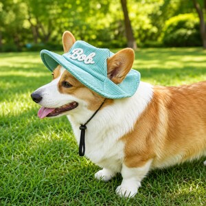 Broderad fiskarmössa för husdjur, personlig hundmössa, manchesterhatt med kattnamn, sommarhink för hund, solhatt för tax, gåvor för husdjur bild 7