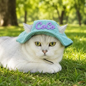 Broderad fiskarmössa för husdjur, personlig hundmössa, manchesterhatt med kattnamn, sommarhink för hund, solhatt för tax, gåvor för husdjur bild 5