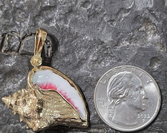 14kt gold vermeil Conch Shell Pendant with pink enamel key west queen conch