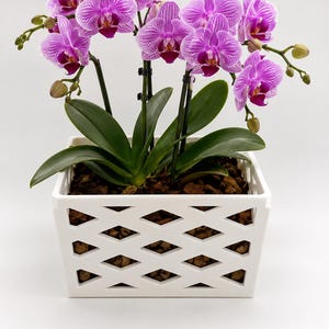 May include: A potted Phalaenopsis orchid with vibrant purple-striped petals and deep magenta centers, supported by thin black stakes. The plant is housed in a square white planter featuring a geometric diamond-shaped lattice cutout design.