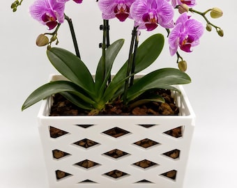 May include: A potted Phalaenopsis orchid with vibrant purple-striped petals and deep magenta centers, supported by thin black stakes. The plant is housed in a square white planter featuring a geometric diamond-shaped lattice cutout design.