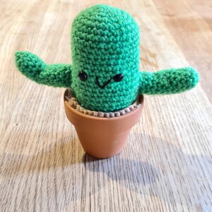 May include: A handmade green crochet cactus with black bead eyes and a smiling face. The cactus has two arms and sits in a small, brown terracotta pot. A charming, whimsical decorative item.
