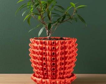 The Barnacle Planter Pot | 3" 4" 5" 6" 7" 8" Inch Opening Size | Eco-Friendly | House Plants | Succulent Cactus Monstera Plants