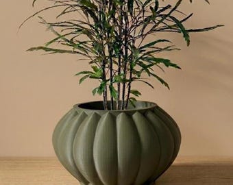 The Bunos Planter Pot | 3" 4" 5" Inch Opening Size | Eco-Friendly | House Plants | Succulent Cactus Monstera Plants