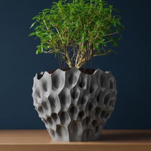May include: A gray, textured, decorative planter with a unique honeycomb design, filled with a small green plant. The planter is sitting on a wooden surface, with a dark blue background.