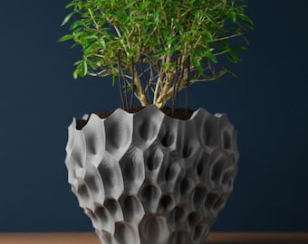 The Bane Planter Pot | 3" 4" 5" 6" 7" 8" Inch Opening Size | Eco-Friendly | House Plants | Succulent Cactus Monstera Plants