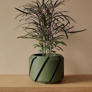 The Cens Planter Pot | 3" 4" 5" 6" 7" Inch Opening Size | Eco-Friendly | House Plants | Succulent Cactus Monstera Plants