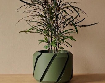 The Cens Planter Pot | 3" 4" 5" 6" 7" Inch Opening Size | Eco-Friendly | House Plants | Succulent Cactus Monstera Plants