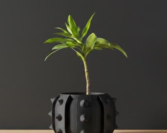 The Alver Planter Pot | 3" 4" 5" 6" Inch Opening Size | Eco-Friendly | House Plants | Succulent Cactus Monstera Plants
