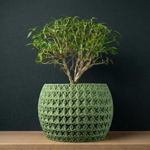 May include: A green, textured, round planter pot with a geometric pattern, holding a small bonsai tree. The tree has a brown trunk and branches with vibrant green leaves. The pot sits on a wooden surface against a dark green background.