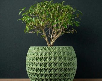 The Burst Planter Pot | 3" 4" 5" 6" 7" Inch Opening Size | Eco-Friendly | House Plants | Succulent Cactus Monstera Plants