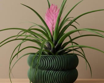 The Avex Planter Pot | 3" 4" 5" 6" 7" Inch Opening Size | Eco-Friendly | House Plants | Succulent Cactus Monstera Plants
