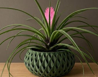 The Cinor Planter Pot | 3" 4" 5" 6" 7" 8" Inch Opening Size | Eco-Friendly | House Plants | Succulent Cactus Monstera Plants