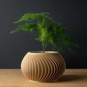 Caleth kruka | Öppningsstorlek 8,5 cm, 12,5 cm, 15,5 cm, 18,5 cm | Miljövänlig | Krukväxter | Suckulentkaktus och monsteraväxter