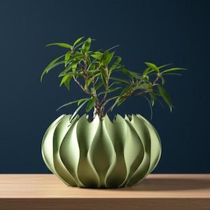 Maceta Abisal / Abertura de 7,6 cm, 10,1 cm y 12,7 cm / Ecológica / Plantas de interior / Suculentas, cactus y monstera