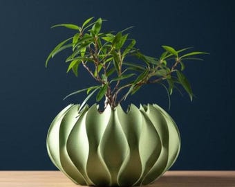 The Abyssal Planter Pot | 3" 4" 5" Inch Opening Size | Eco-Friendly | House Plants | Succulent Cactus Monstera Plants