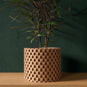 The Cheo Planter Pot | 3" 4" 5" 6" 7" 8" Inch Opening Size | Eco-Friendly | House Plants | Succulent Cactus Monstera Plants