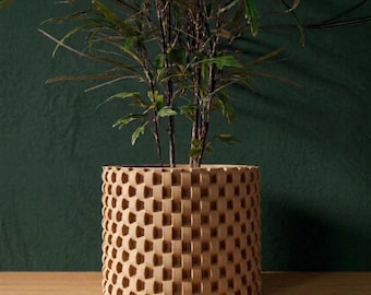 The Cheo Planter Pot | 3" 4" 5" 6" 7" 8" Inch Opening Size | Eco-Friendly | House Plants | Succulent Cactus Monstera Plants