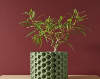 The Armos Planter Pot | 3" 4" 5" 6" 7" Inch Opening Size | Eco-Friendly | House Plants | Succulent Cactus Monstera Plants