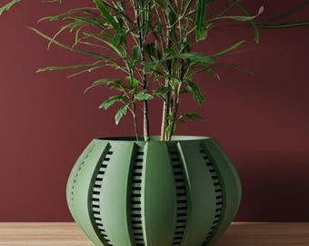 The Balu Planter Pot | 3" 4" 5" 6" Inch Opening Size | Eco-Friendly | House Plants | Succulent Cactus Monstera Plants