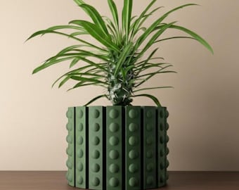 The Belio Planter Pot | 3" 4" 5" 6" 7" Inch Opening Size | Eco-Friendly | House Plants | Succulent Cactus Monstera Plants