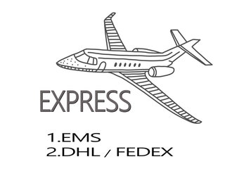 Express Shipping Service (EMS or DHL/FedEx)