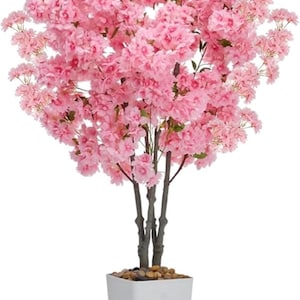 May include: A faux cherry blossom tree with vibrant pink flowers. The tree has dark brown stems and is potted in a white square planter filled with small pebbles. A decorative accent for home or office.