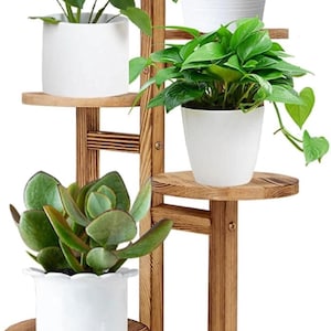 May include: A multi-tiered wooden plant stand with several potted plants. The stand is made of dark brown wood and has a round base with wheels. The plants include succulents, leafy green plants, and a small tree. The pots are white.