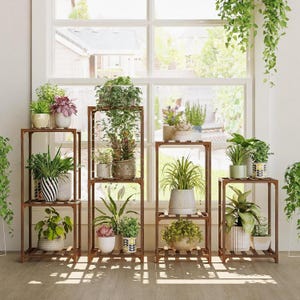 May include: A collection of wooden plant stands of varying sizes, each holding multiple potted plants. The plants include a variety of green foliage and flowering plants. The stands are arranged in front of a large window, creating a bright and airy display.