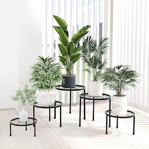 May include: A collection of indoor plants in various sizes and shapes, displayed on black metal plant stands. The stands have a circular top with a decorative design and three legs. The plants are in white and gray pots.