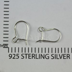 Op de afbeelding: Twee zilveren oorhaken van 925 sterling zilver.