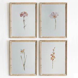 May include: A set of four rectangular wall art prints in light wood frames, each featuring a single watercolor botanical illustration on a pale gray background. The prints depict a pink carnation, a light purple cosmos, a yellow daffodil, and orange flowers.