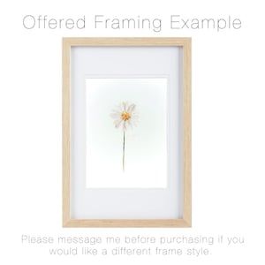 May include: A light wood frame containing a white mat and a print of a single white daisy with a yellow center. The text "Offered Framing Example" appears at the top, and "Please message me before purchasing if you would like a different frame style" at the bottom.