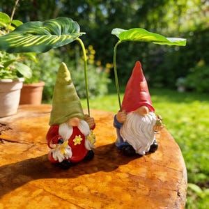 Może przedstawiać: Dwa krasnale ogrodowe, jeden w czerwonym stroju i czapce, drugi w zielonym, każdy trzymający liść nad głową. Krasnale mają białe brody i siedzą na drewnianej powierzchni. Tło to rozmyta scena ogrodowa.