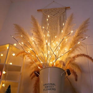 May include: A decorative display of pampas grass and fairy light branches in a cream bucket. The bucket is printed with "ORIGINAL SWEET FLOWERS". A macrame wall hanging and a wooden shelf with fairy lights are in the background.