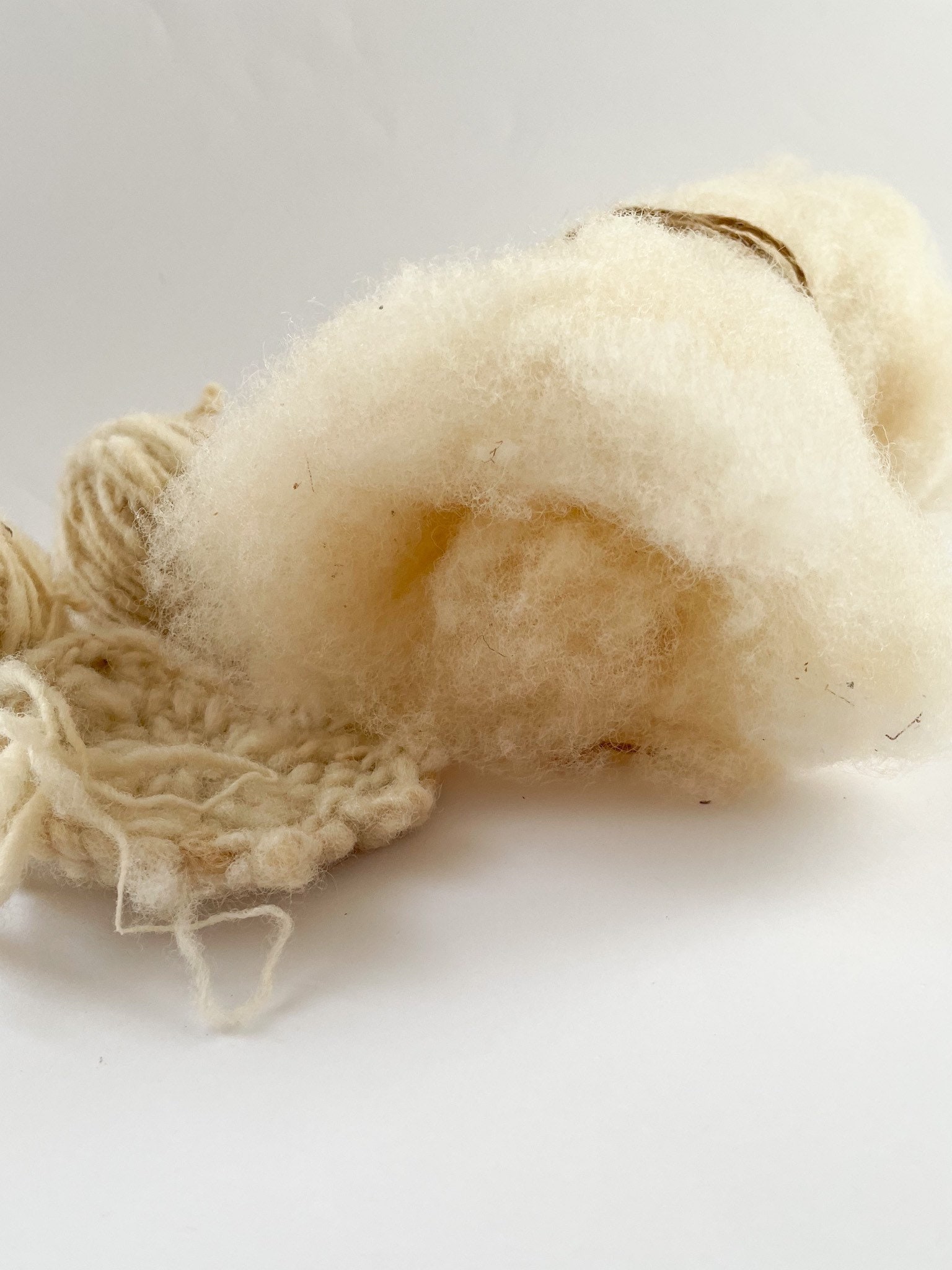Raw Natural Sheep Wool, Raw Fleece, Felting Wool Etsy