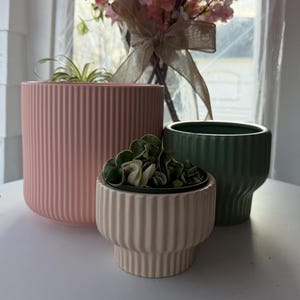 Puede incluir: Tres macetas de cerámica en tonos rosa, crema y verde. Las macetas tienen un diseño acanalado. La maceta rosa es cilíndrica, la maceta crema tiene forma de pedestal y la maceta verde es redondeada. Las macetas están sobre una superficie blanca.
