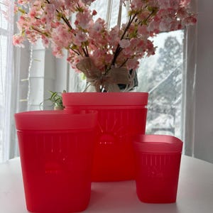 May include: Three red plastic containers of varying sizes are arranged on a white surface. The containers have a rectangular shape with a slightly rounded top. A floral arrangement with pink blossoms is in the background.