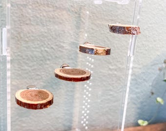Real Wood Spider Ledges | Natural Enclosure Decor Set | Jumping Spider Perches