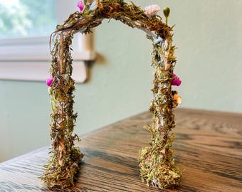 Arco de jardín para recintos de arañas saltarinas / Decoración de base de bosque encantado / Hábitat estilo cottagecore