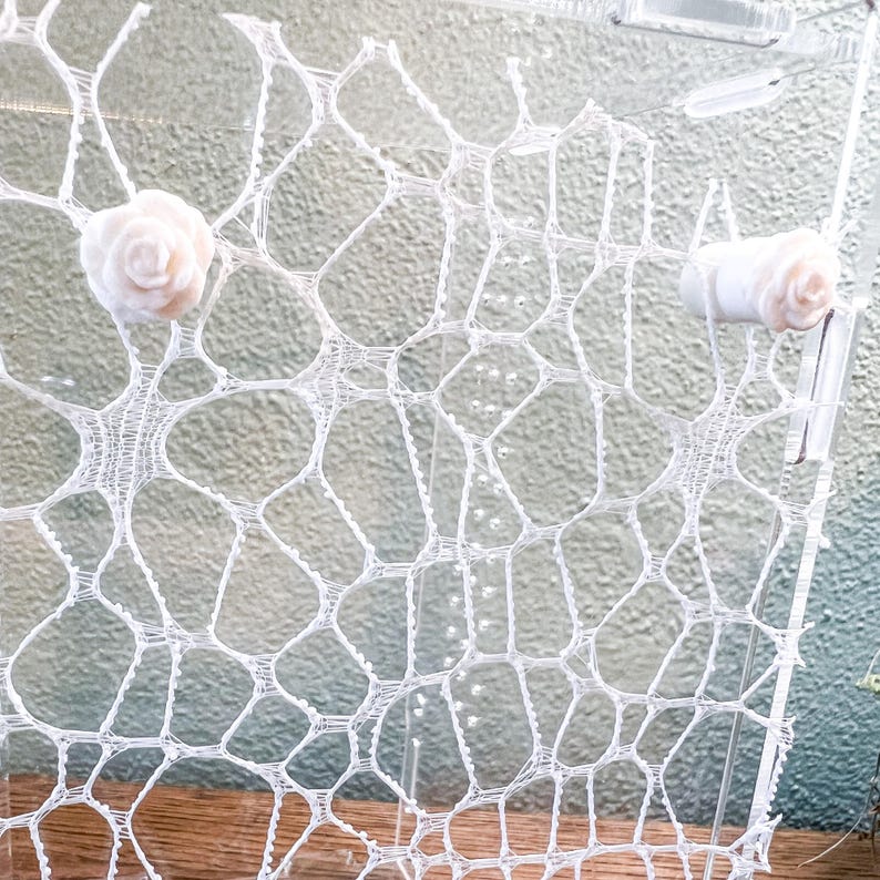 May include: A clear acrylic display stand features a white, web-like, open-work lace pattern across its surface. Two small, pale pink, three-dimensional rose-shaped embellishments are attached to the upper left and right sides of the panel.