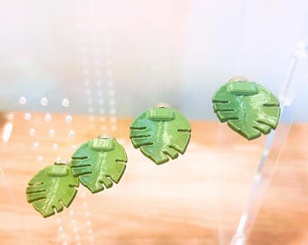 Leaf Ledge for Jumping Spiders | Modular Climbing Shelf  | Tropical Enclosure Decor | Feeding Perch