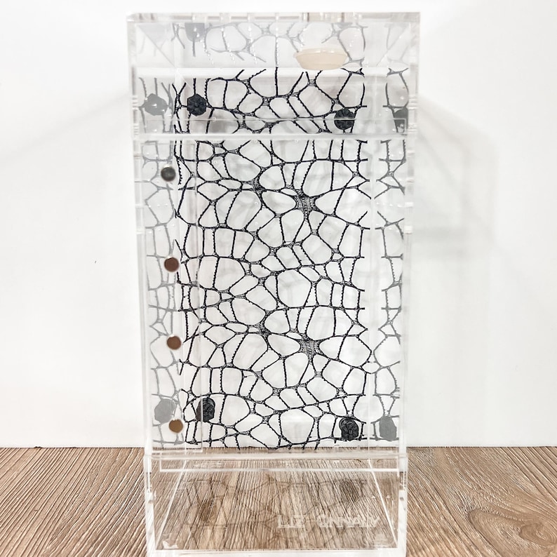 May include: A clear acrylic rectangular display case featuring a black web-like lace pattern on the interior back panel. The structure includes a vertical side panel with four small circular openings and a single light-colored circular knob at the top.