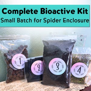 Bioactive Jumping Spider Enclosure Kit | Drainage, Soil, Sphagnum Moss