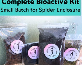 Bioactive Jumping Spider Enclosure Kit | Drainage, Soil, Sphagnum Moss