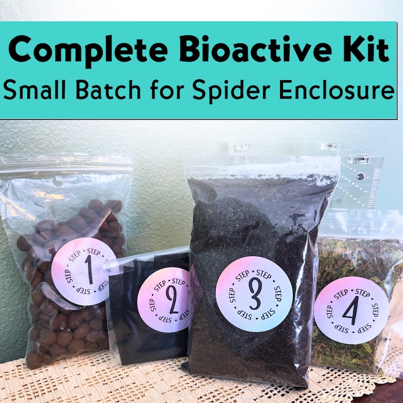 Jumping Spider House Kit - Etsy