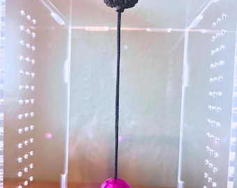 Enriquecimiento ambiental para arañas saltarinas curiosas / Bola de discoteca de bellota / Accesorio para terrario